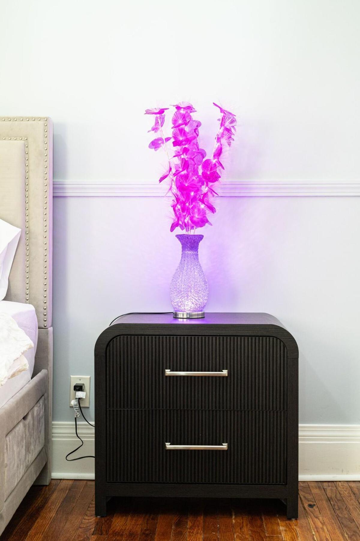 Nightingale In Boston