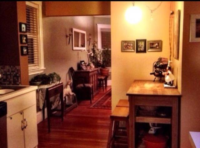 Private Must Dogs * Boston