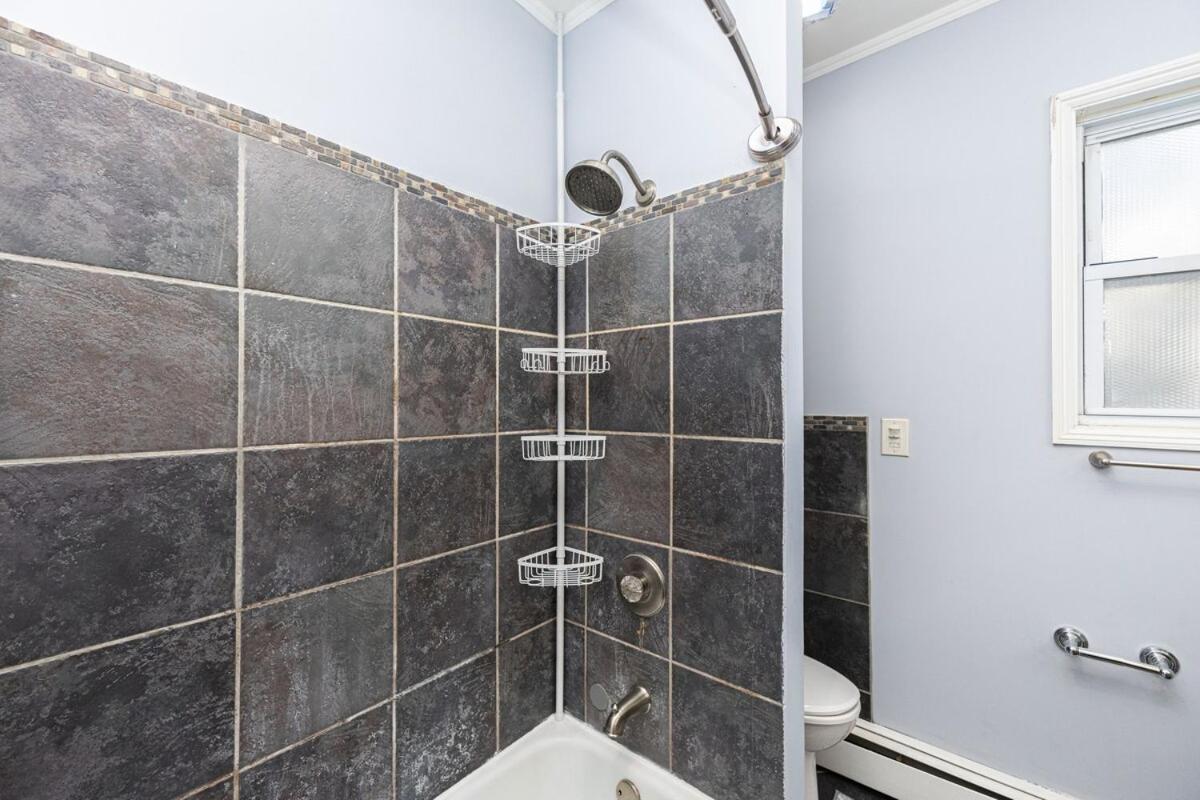 Nightingale In Apartment Boston