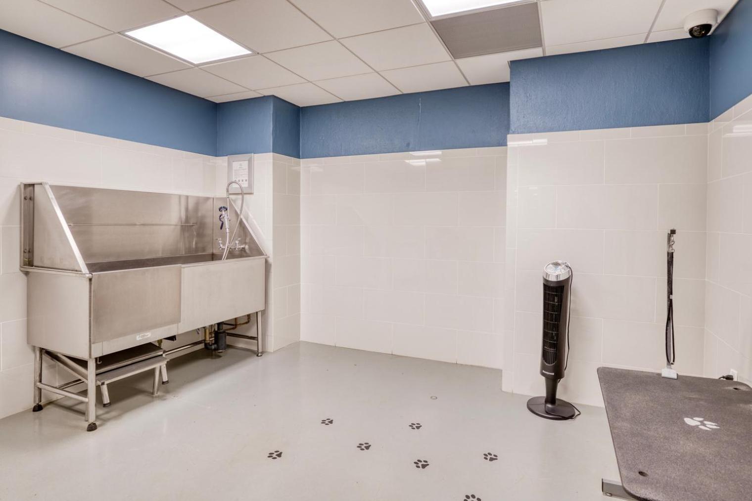 Blueground Bay Village Fitness Center Nr Common Bos-1235 Apartment Boston