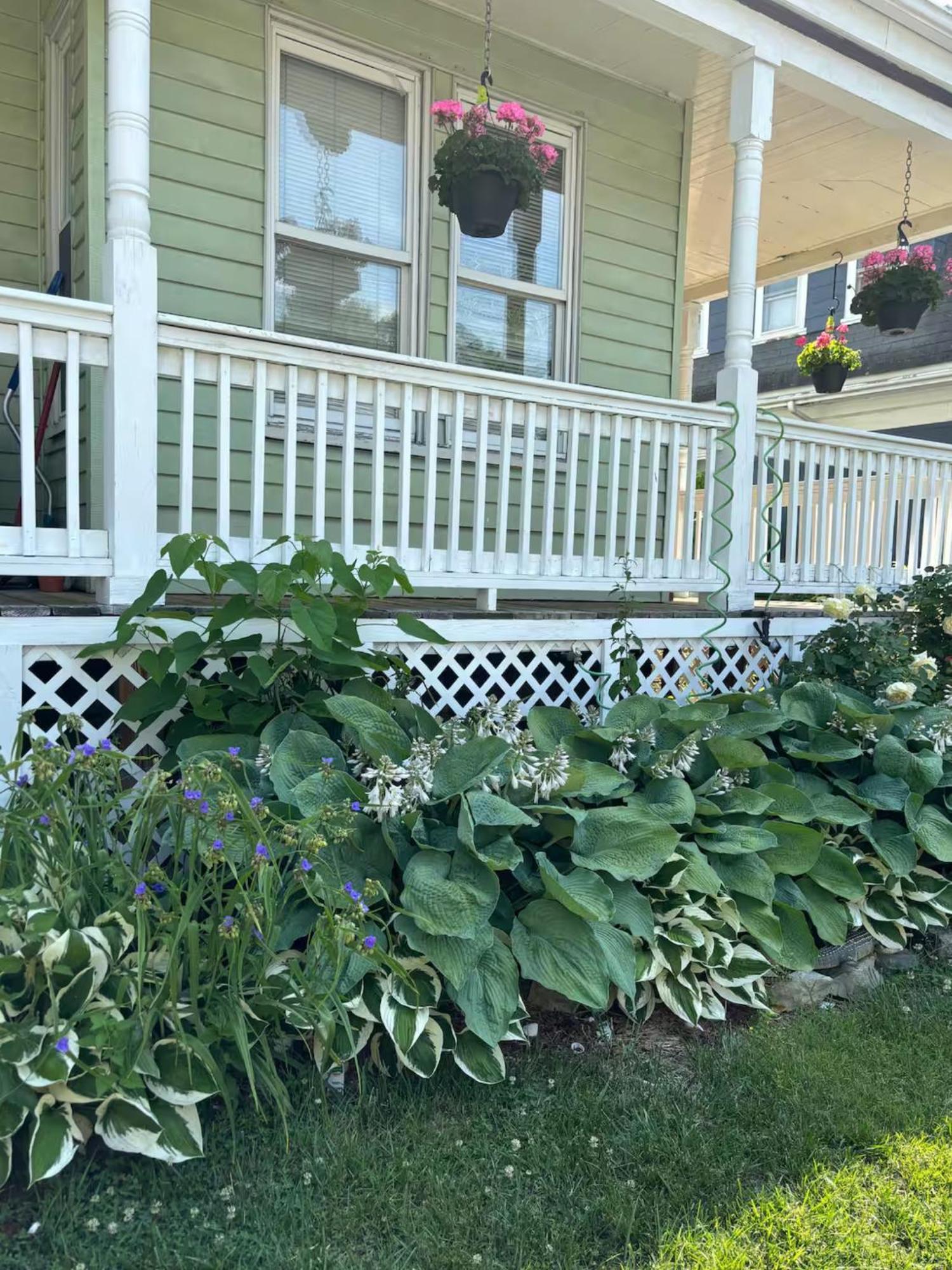 Apartment With Parking, Next To Train Or Buses, Good Neighborhood Boston