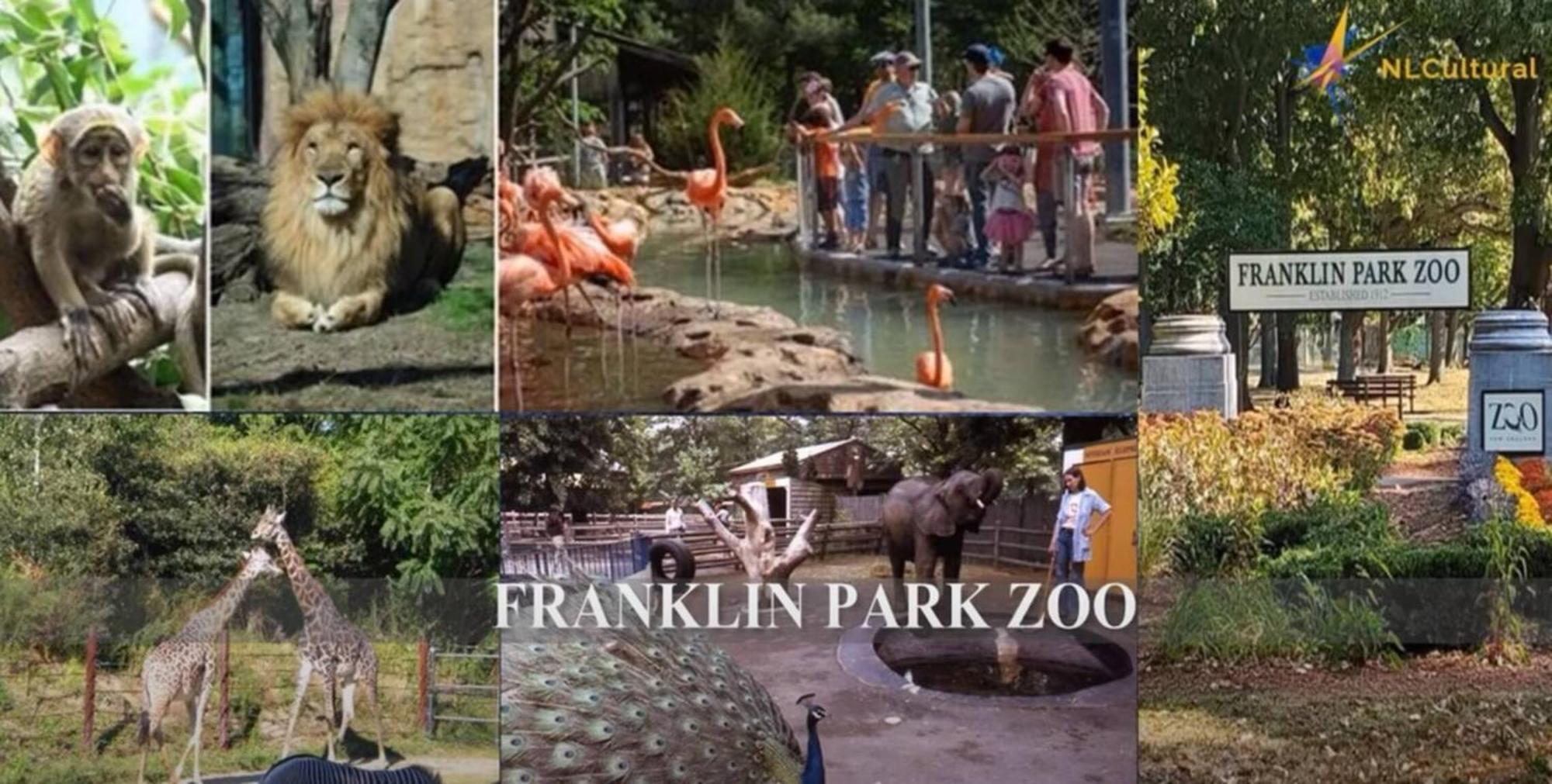 Apartment 2br Lower Garden-level 20min Boston