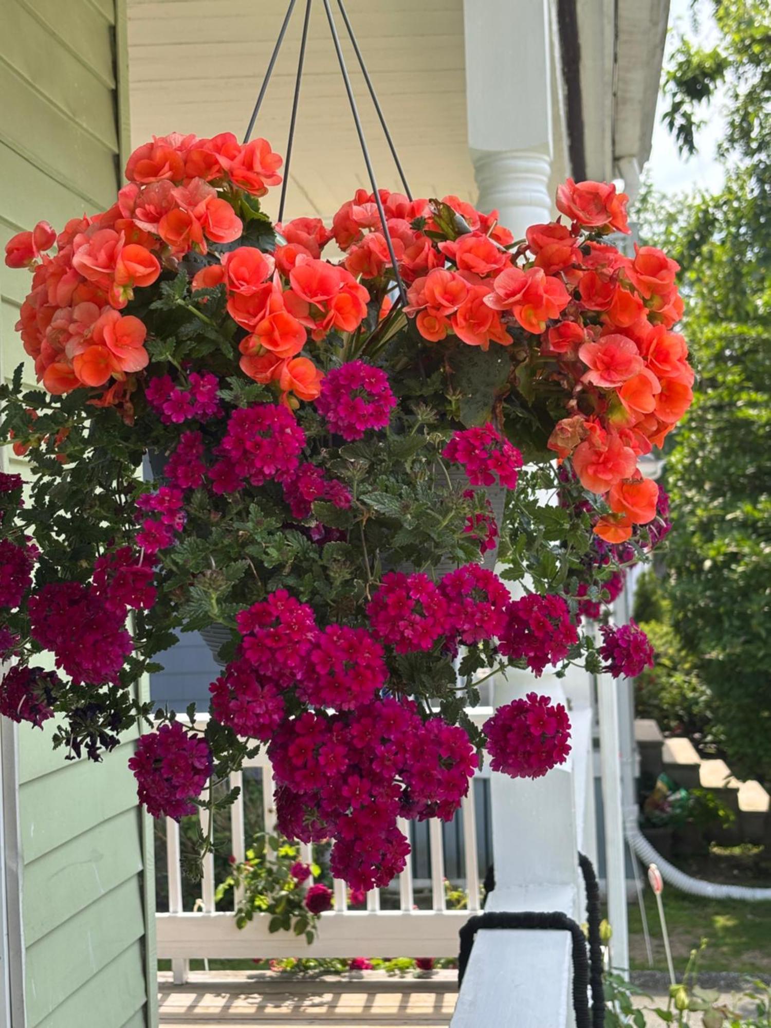 Apartment With Parking, Next To Train Or Buses, Good Neighborhood Boston