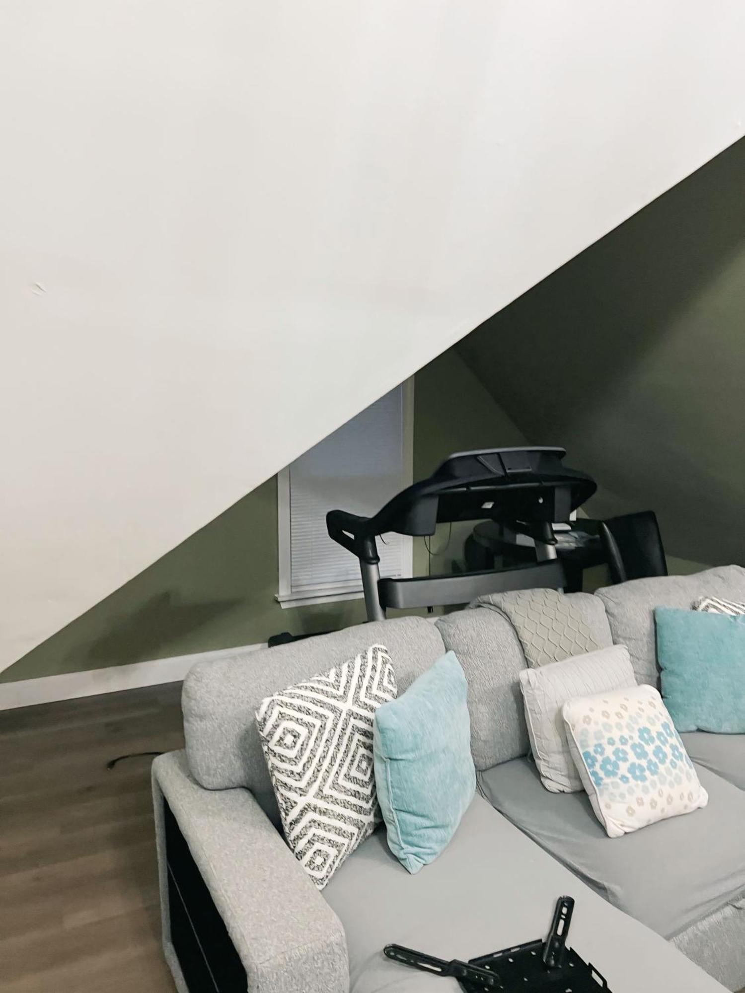 Large Open Concept In Zoo Franklin Park Near Apartment Boston