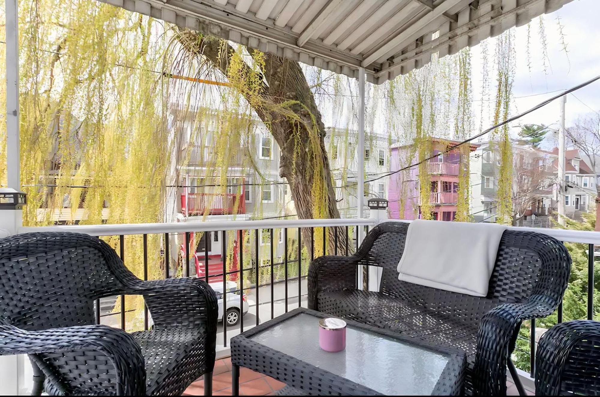 Large Open Concept In Zoo Franklin Park Near Apartment