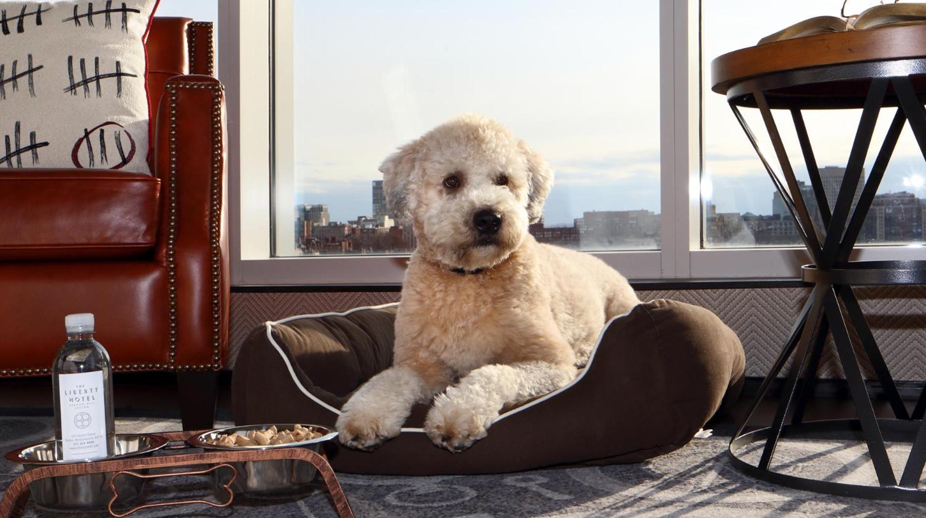 Hotel The Liberty, A Luxury Collection Hotel, 5*