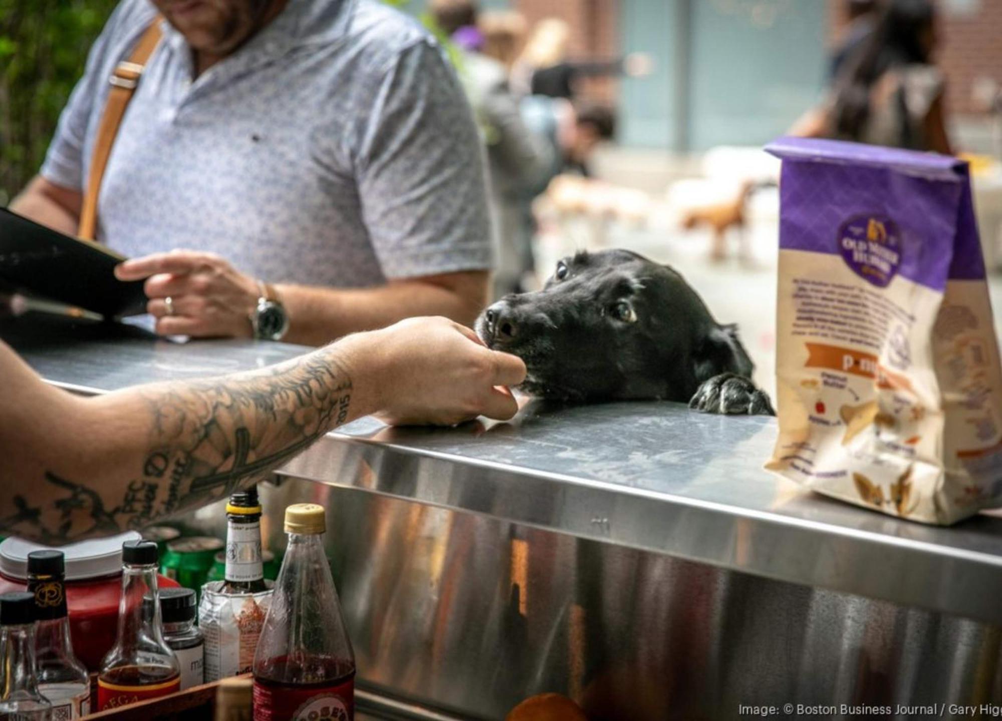 The Liberty, A Luxury Collection Hotel, Boston