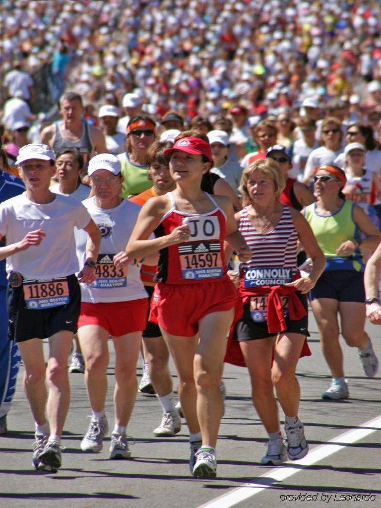 Staypineapple, A Delightful Hotel, South End Hotel