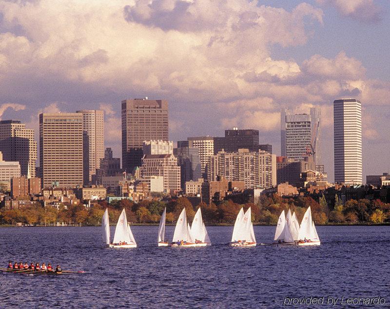 Staypineapple, A Delightful Hotel, South End Hotel Boston