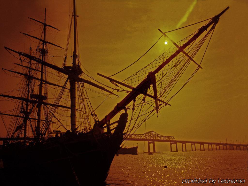 Hotel Staypineapple, A Delightful Hotel, South End Boston