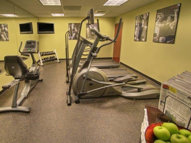 Pennyweight Boston, Curio Collection By Hilton