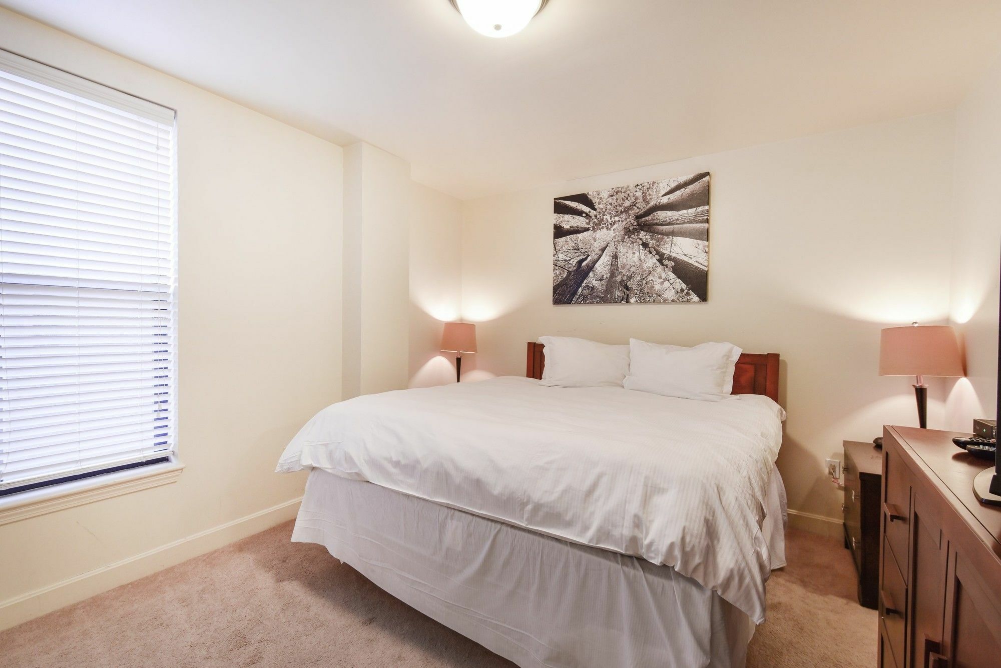 Global Luxury At Back Bay Appartement