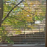 Skyline Homestay Boston