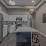 Luxury Furnished Loft Near Park Street Station