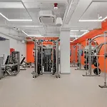 Gorgeous With Kitchen With Gym Apartment