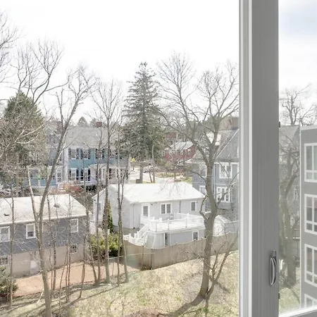 Apartment Jamaica Plain Studio W Gym Wd Nr Orange Line Bos-661 Boston