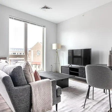 Brighton Studio W Wd Doorman Nr T Dining Bos-321 Apartment Boston
