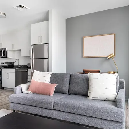 Apartment Brighton Studio W Wd Doorman Nr T Dining Bos-321 Boston