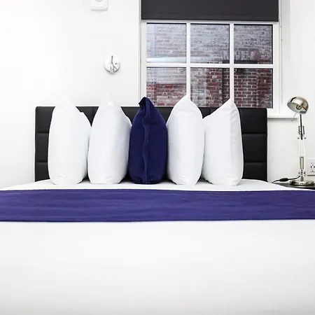 Modern In Historic - Unit #102