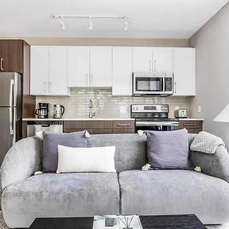 Apartment North Station 1br W Wd Gym Nr Td Garden Bos-340a Boston