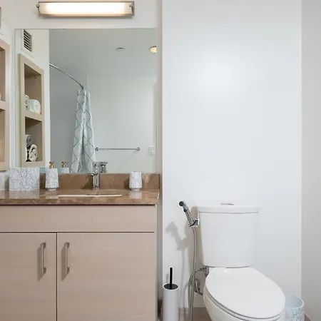 Upscale Penthouse W Gym & Parking Near Mgh & Tufts Boston