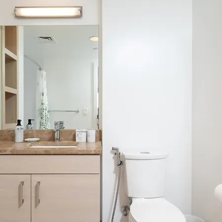 Upscale Penthouse W Gym & Parking Near Mgh & Tufts Holiday home Boston