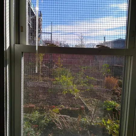 Blue Jay Room *