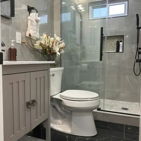 Apartment 85b Brand New 3br, 2ba, Walk To Transit, Near