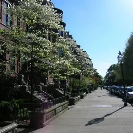 The College Club Of Boston