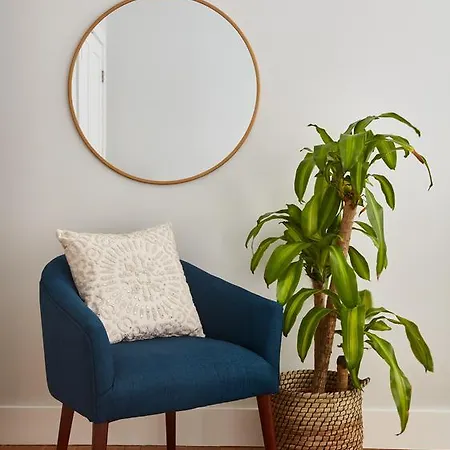 Three-bedroom On South Street Apt 5 Apartment *