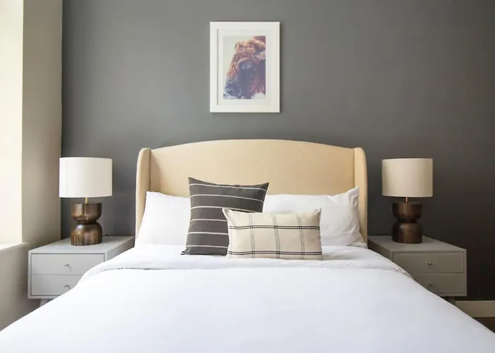 Airy Studio Downtown Boston Pet Friendly