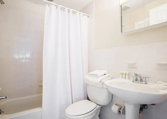 Airy, Modern 1Br Downtown Boston