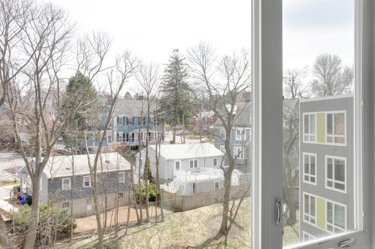 Apartment Jamaica Plain Studio W Gym Wd Nr Orange Line Bos-661 Boston