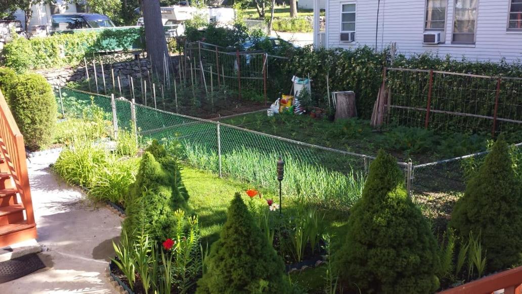 Modern Beautiful Apartment-5 Beds-full Kitchen-parking-super Clean-great For Groups Apartment Boston