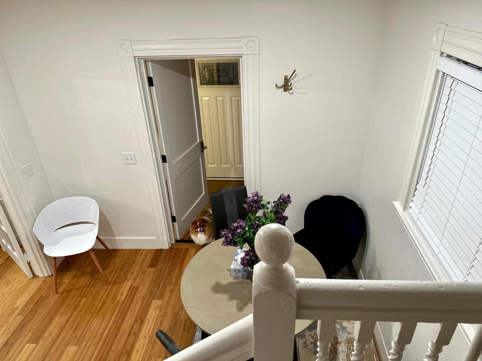 Harvrd-mit-b.u./parkfree/single Family Holiday home *