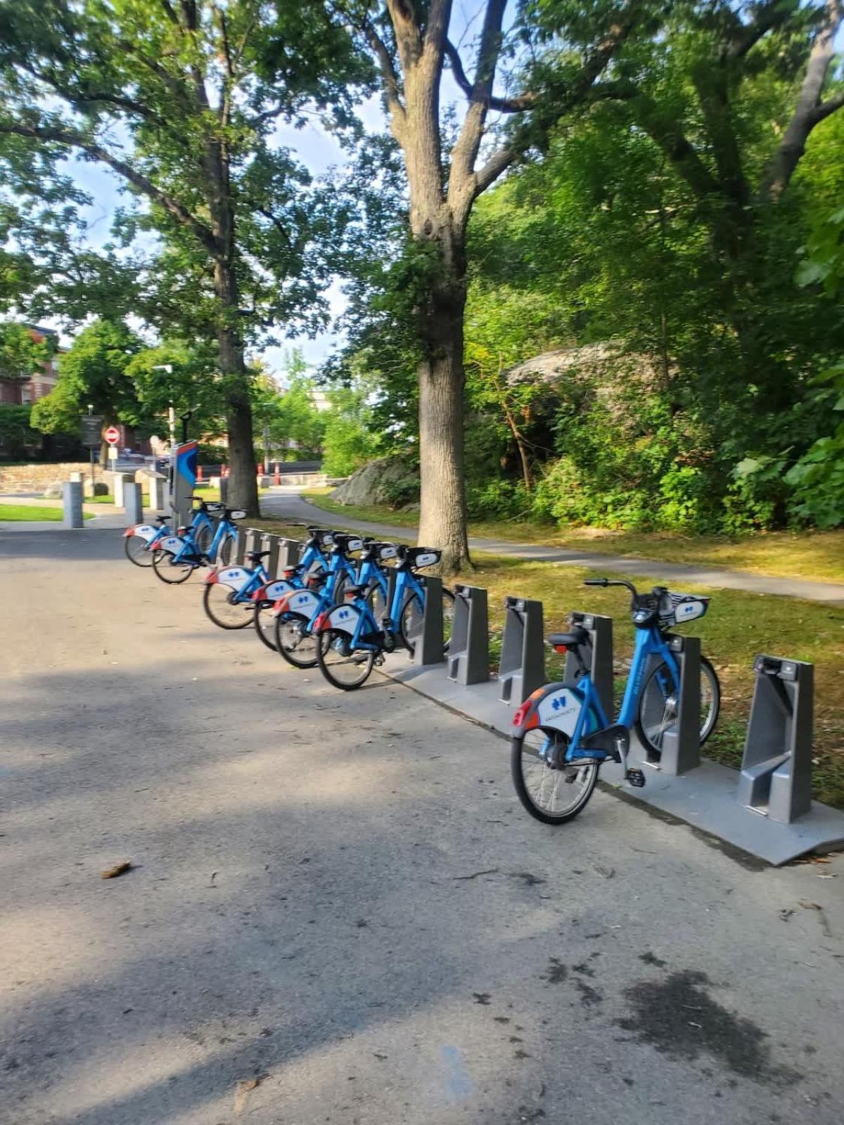 Park-side In Jamaica Plain Holiday home Boston