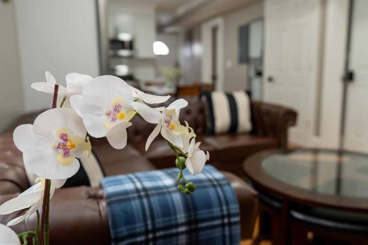 558-3 3br - Renovated Nest Near Aquarium