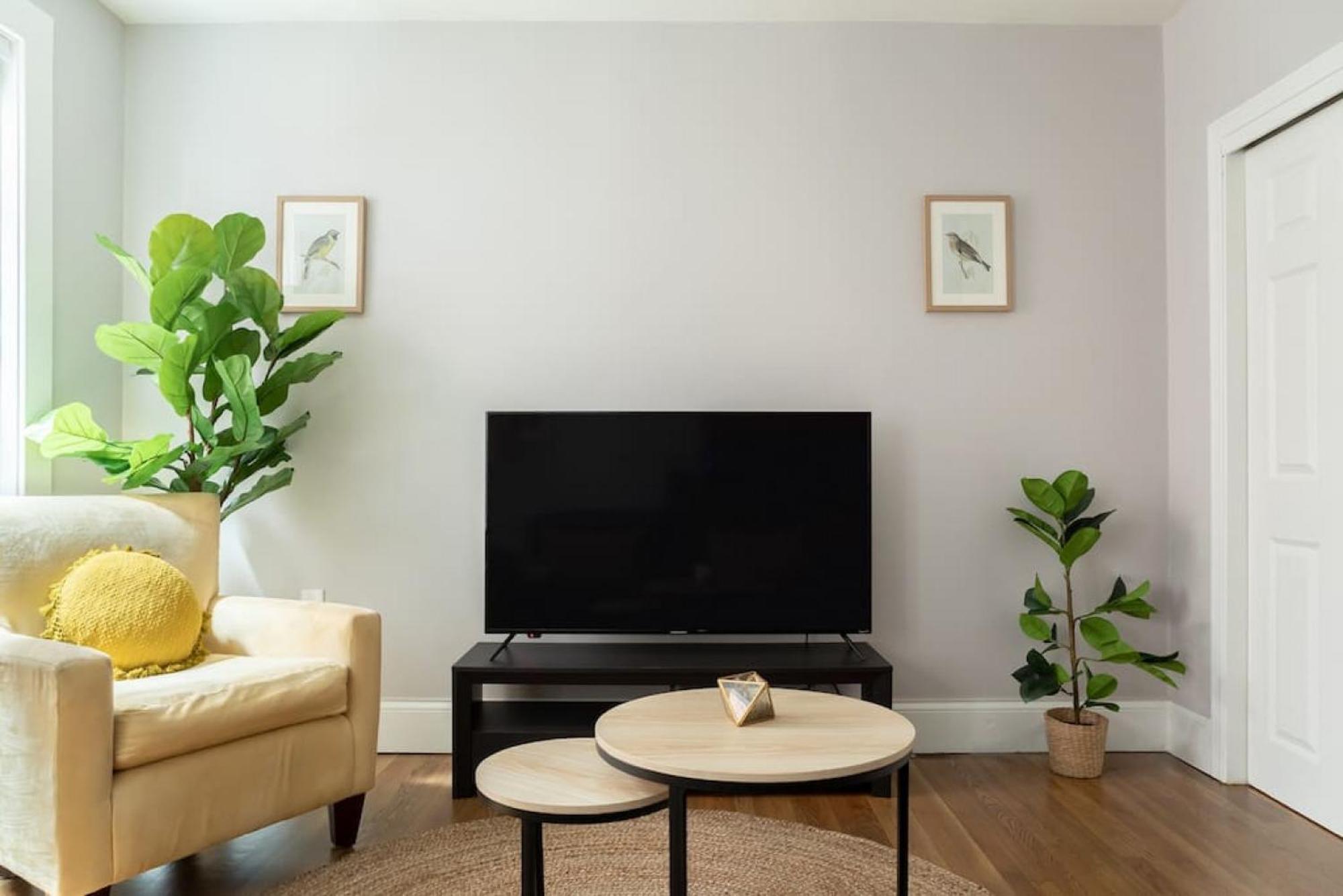 Apartment Cozy 1br Walk Anywhere Boston