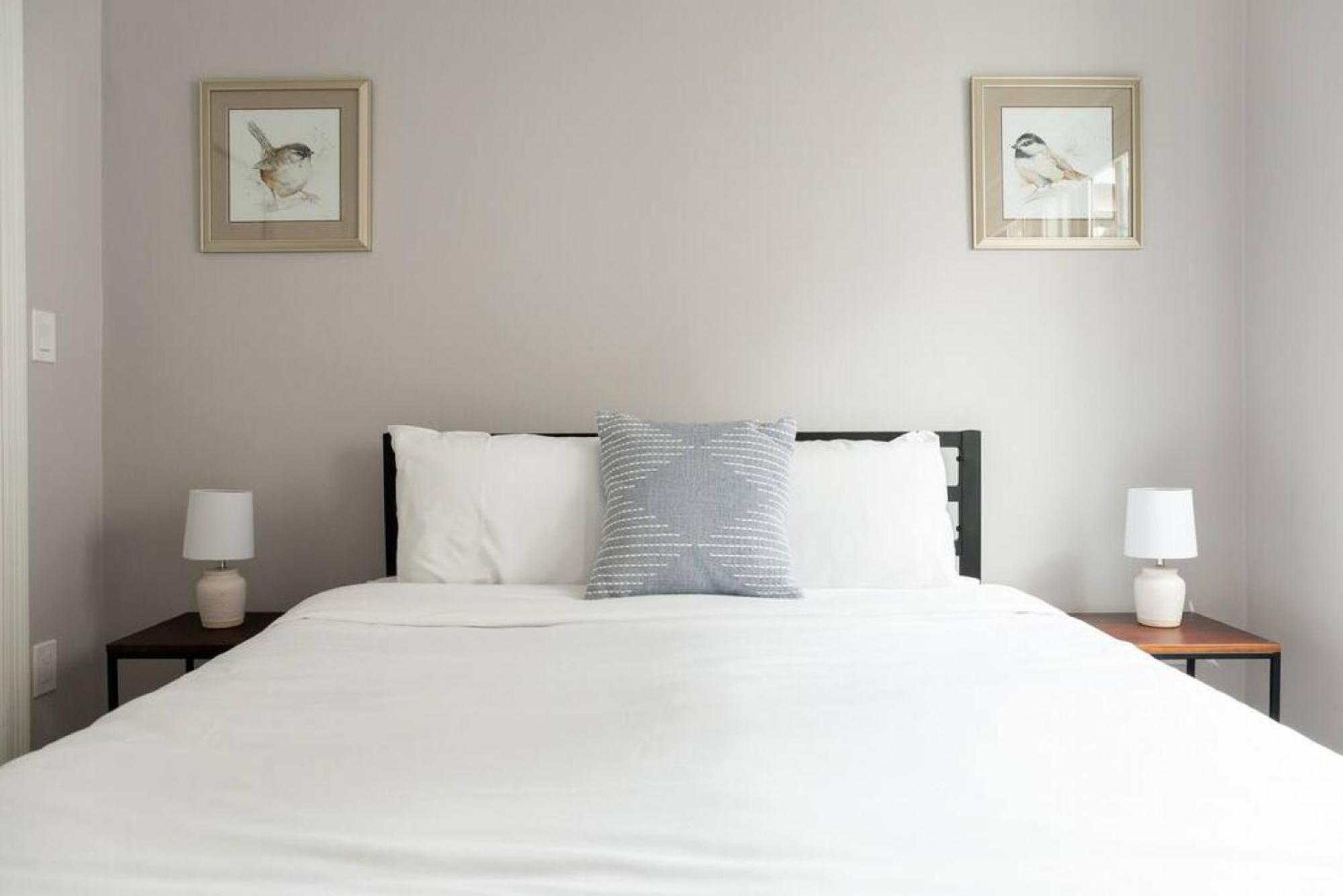 Simple 1br Steps To Common And South End Apartment *