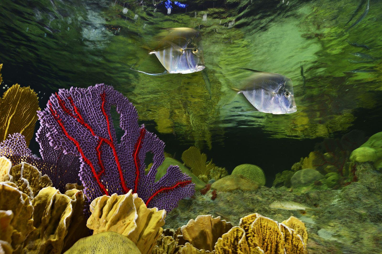 Hotel Courtyard Downtown/north Station
