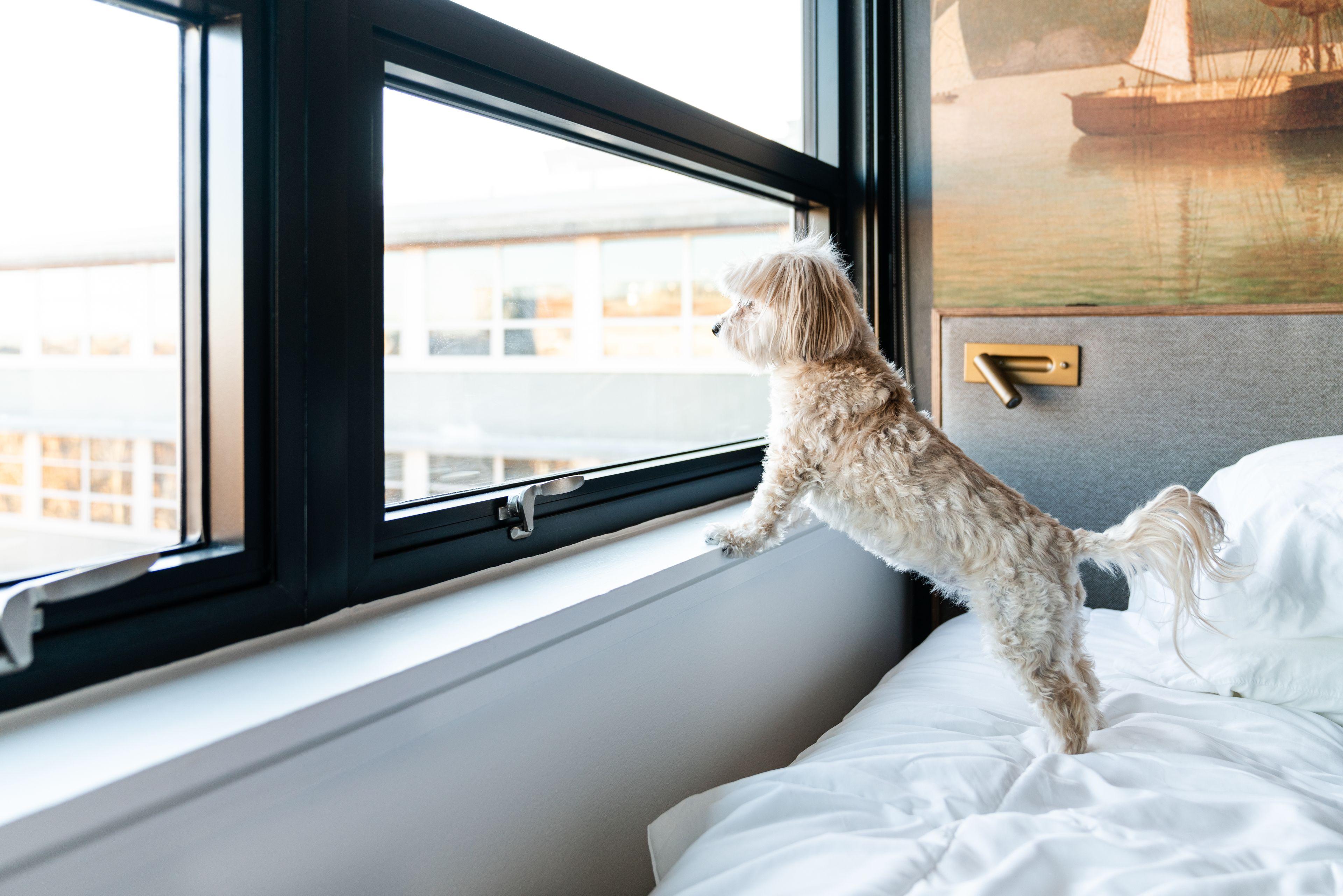 The Revolution 3* Boston