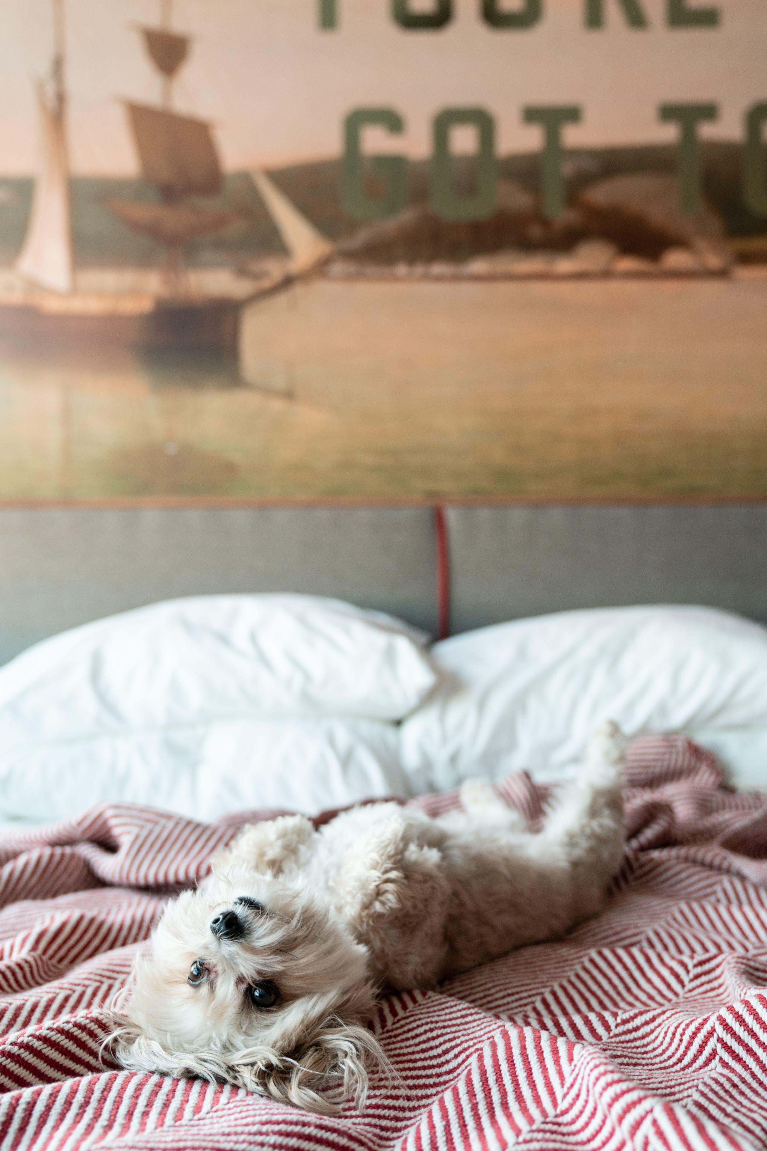 The Revolution Hotel 3*