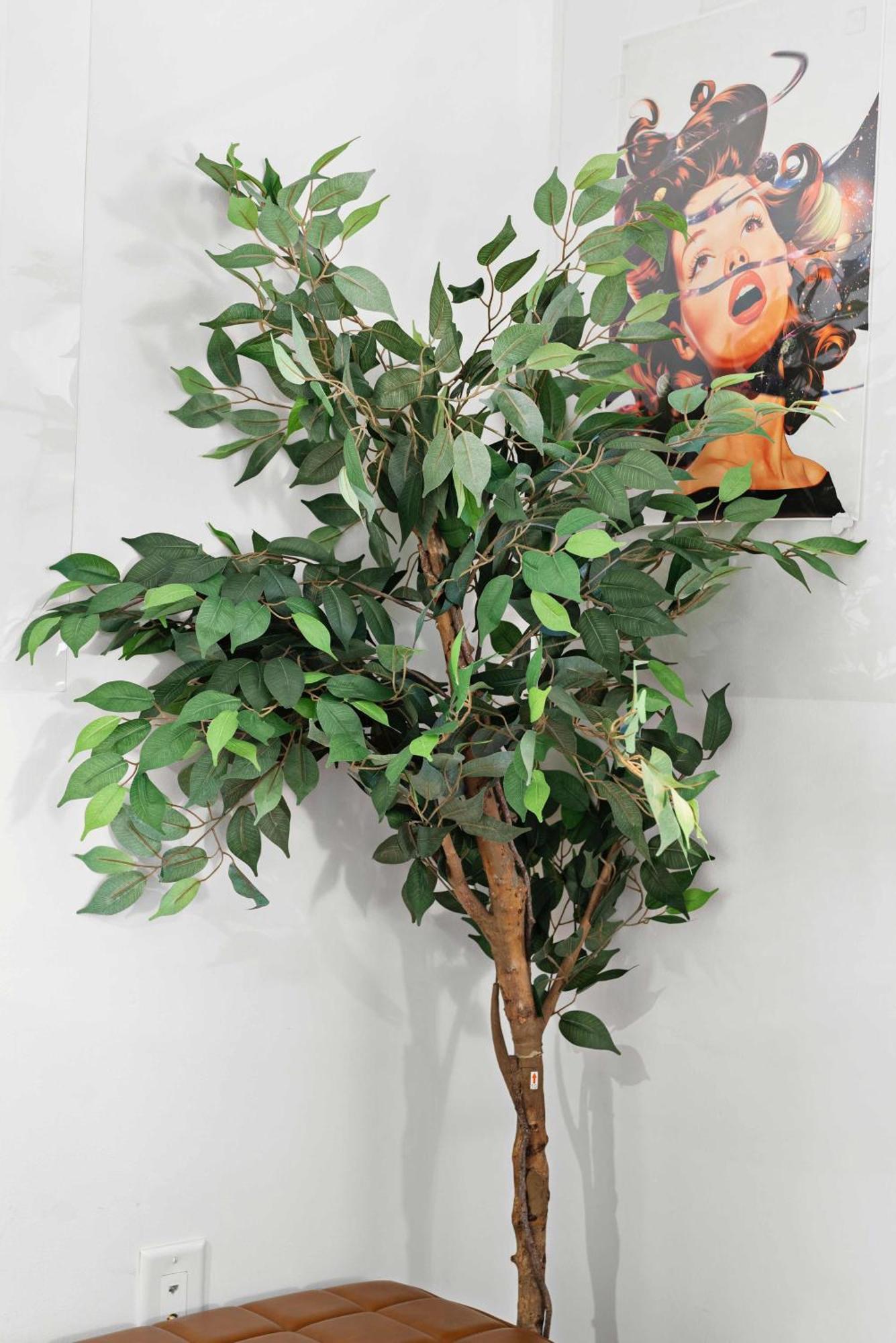 Private Estate Vista Pool & Leisure * Boston