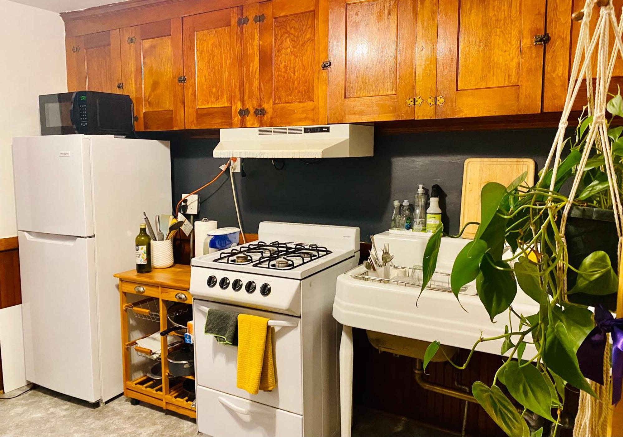 Beacon Hill Vintage Near Mgh And Downtown *