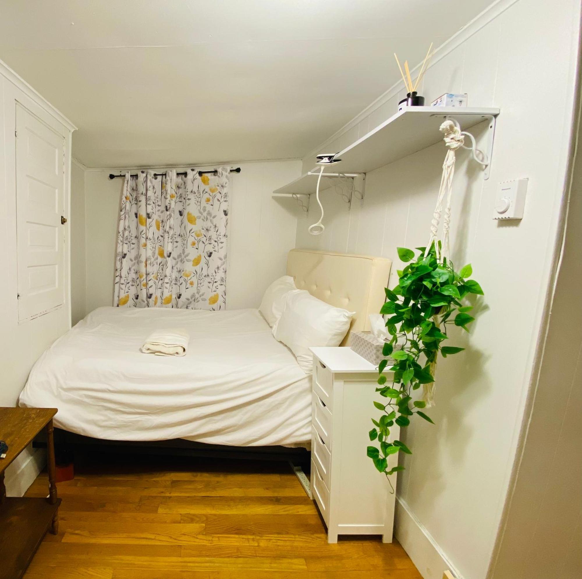 Beacon Hill Vintage Near Mgh And Downtown Apartment Boston