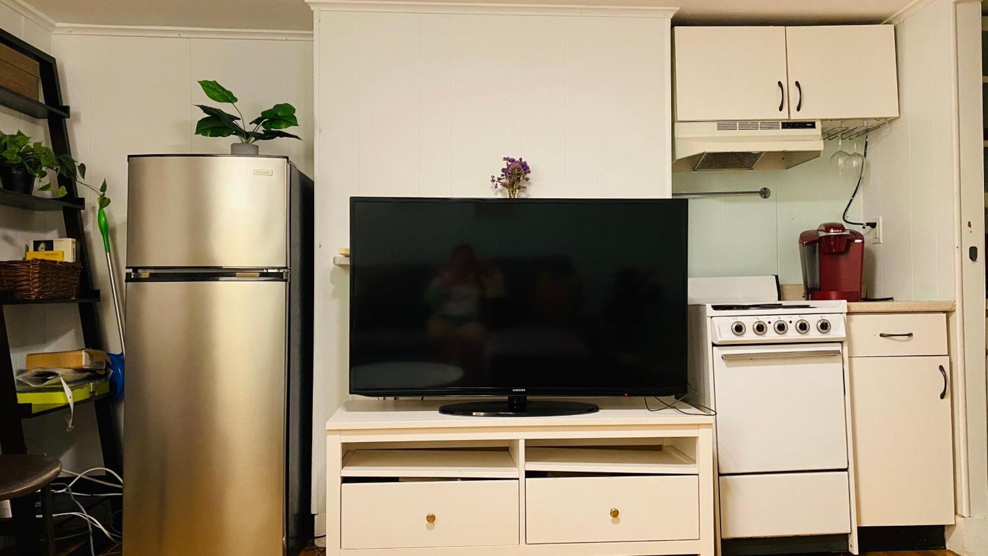 Beacon Hill Vintage Near Mgh And Downtown Apartment Boston