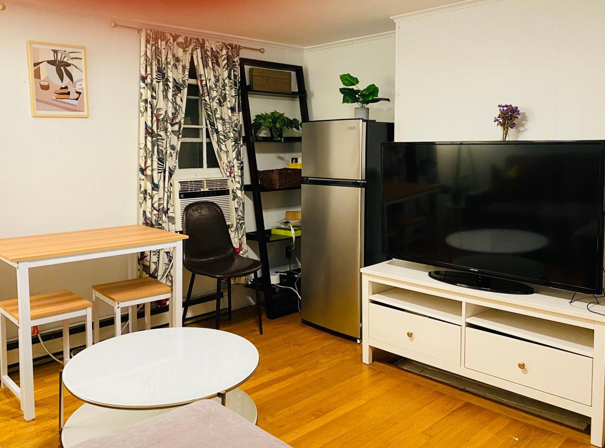 Beacon Hill Vintage Near Mgh And Downtown