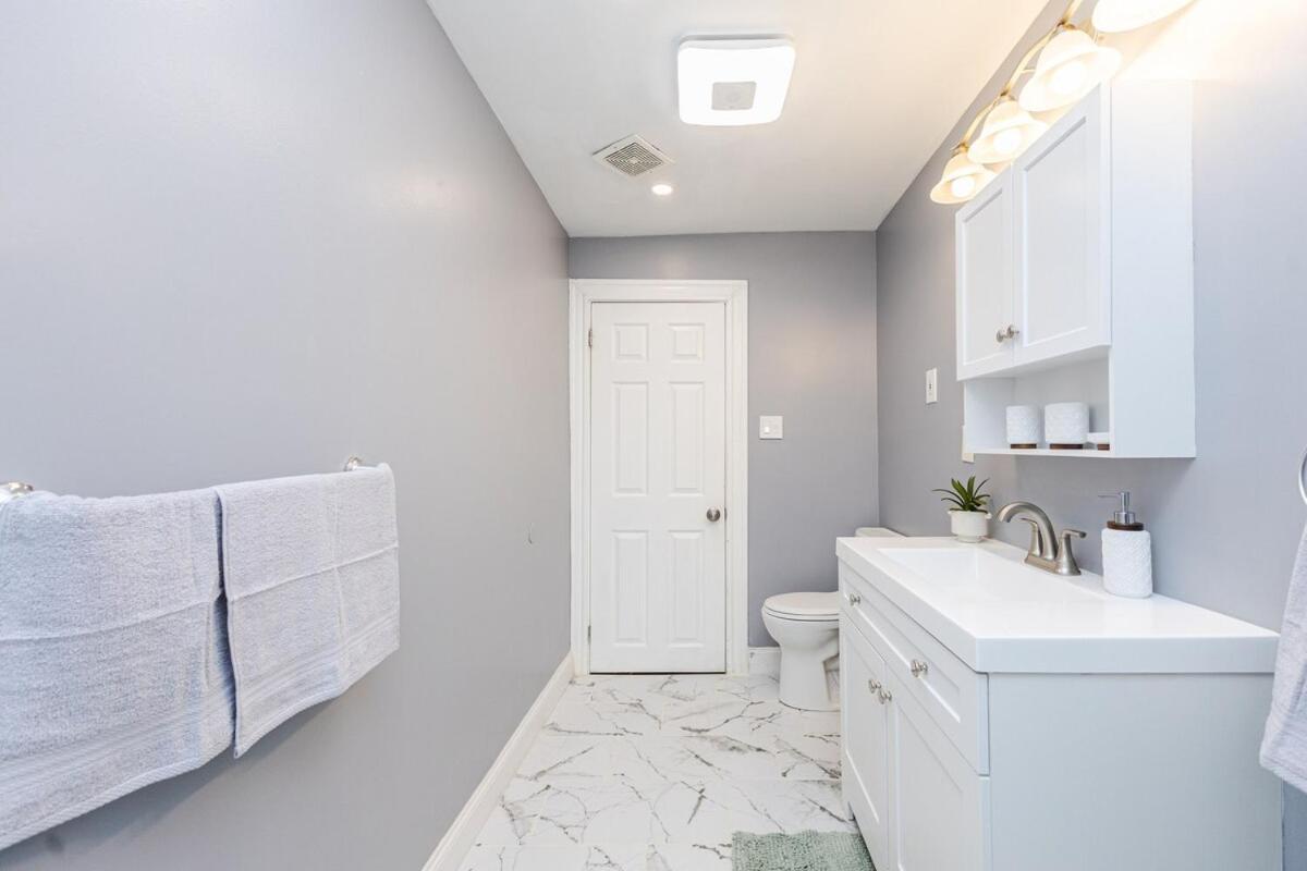 Cozy 3bd, 1ba In - Franklin Park Zoo, Common Apartment