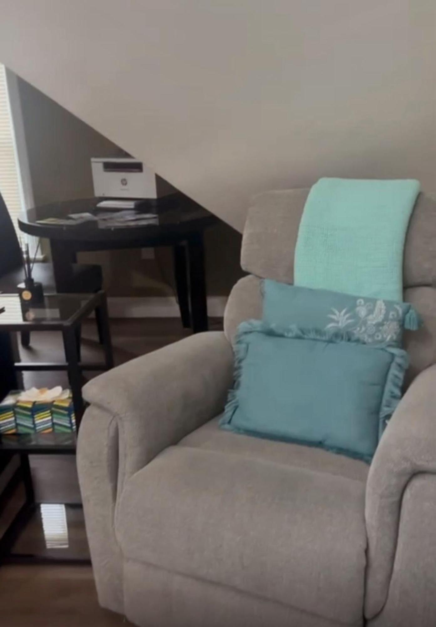 Large Open Concept In Zoo Franklin Park Near Apartment Boston