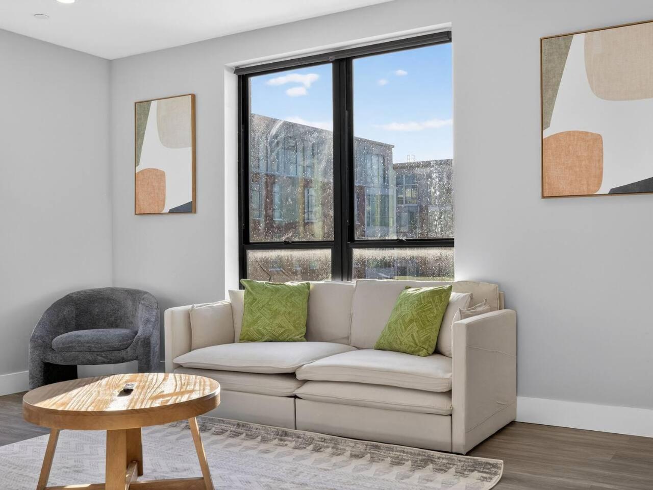 Luxe 3bd Brighton Boston